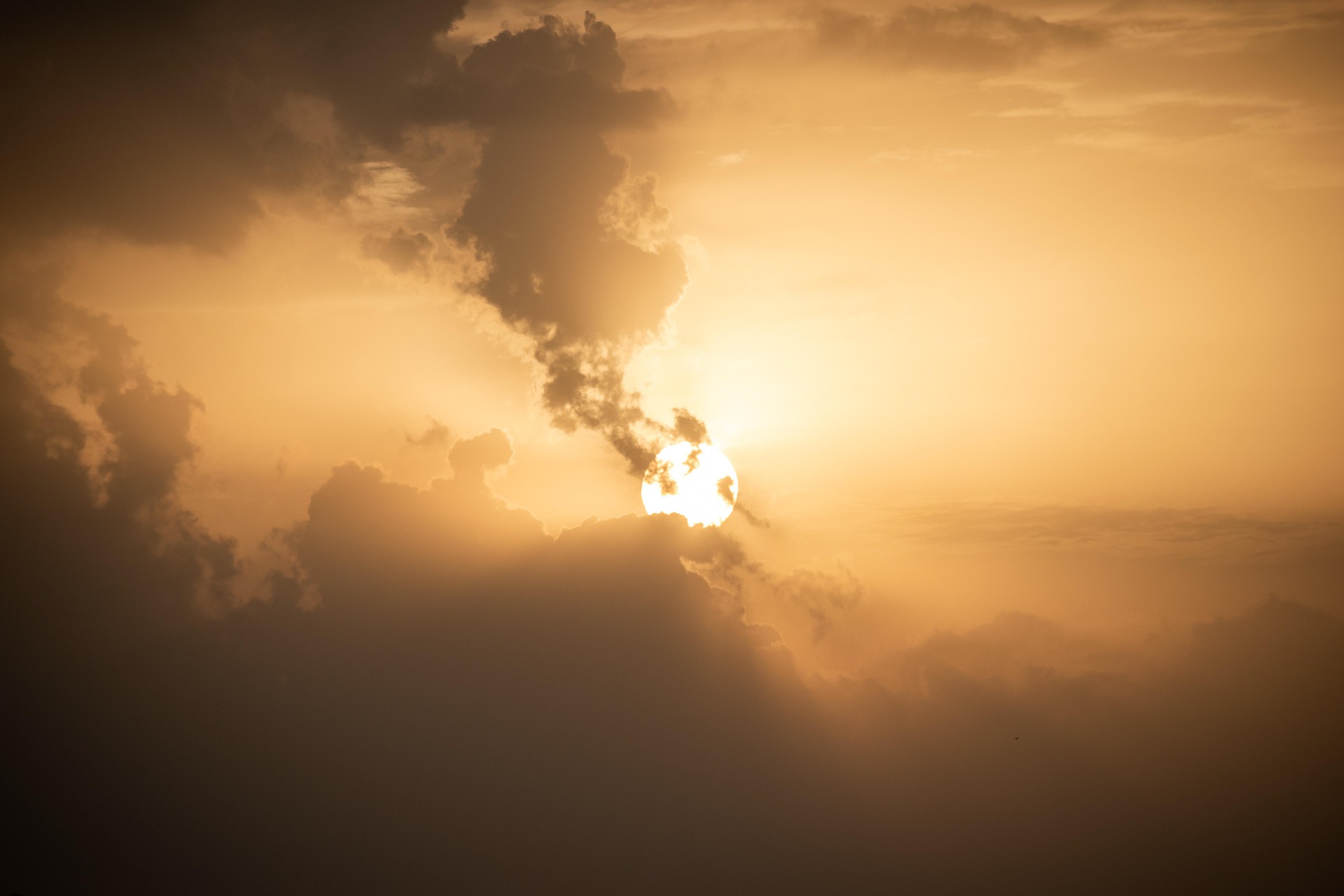 Menyederhanakan Kehidupan dengan Pilihan yang Bermakna